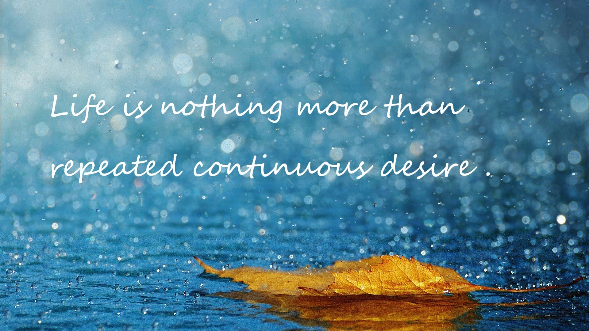 kaiyun开云·官方网站-【得分时刻盘点】五大经典一分绝杀瞬间，1分绝杀